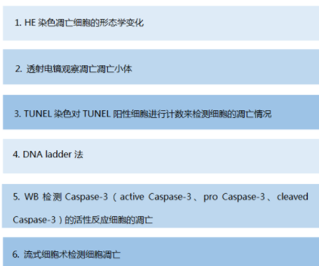 細(xì)胞<div   id=